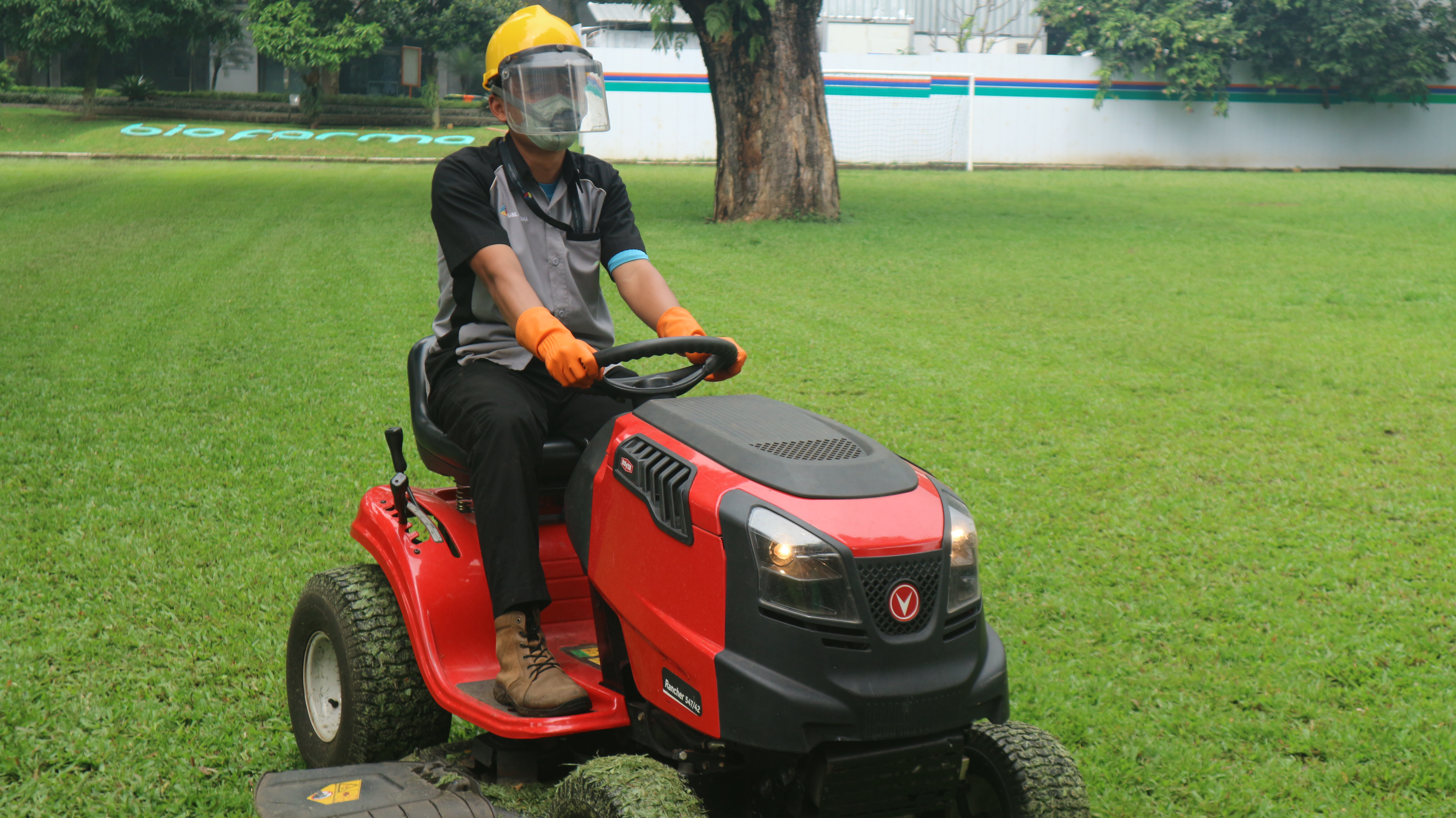 Layanan Gardening Outdoor